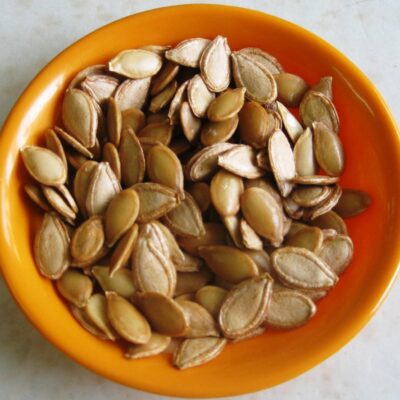 زريعة القرعة