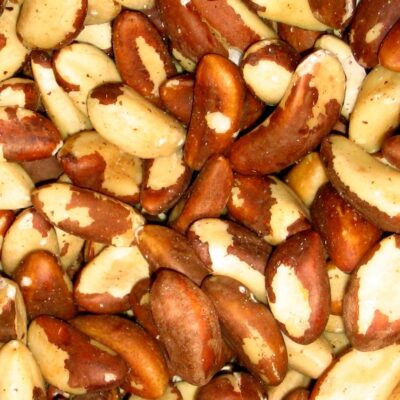 الجوز البرزيلي